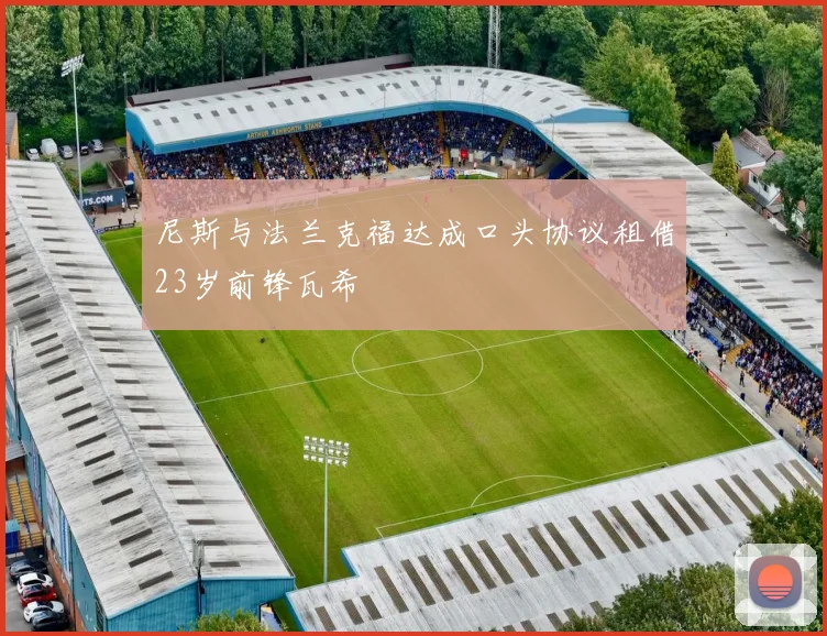 尼斯与法兰克福达成口头协议租借23岁前锋瓦希