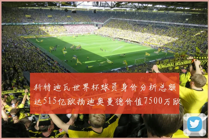 科特迪瓦世界杯球员身价分析总额达515亿欧扬迪奥曼德价值7500万欧