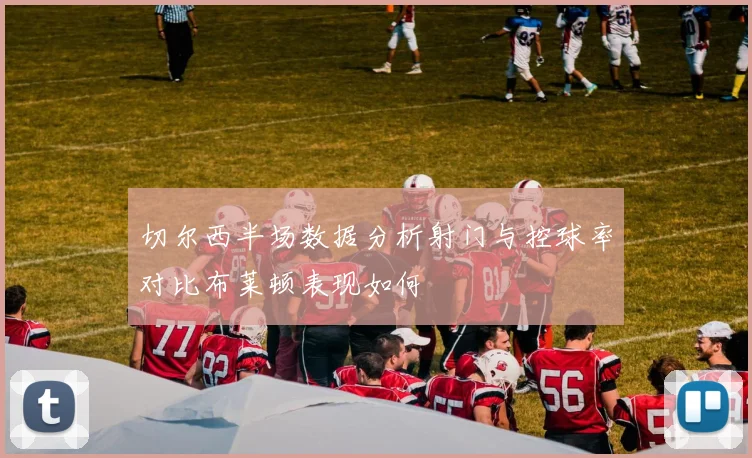 切尔西半场数据分析射门与控球率对比布莱顿表现如何