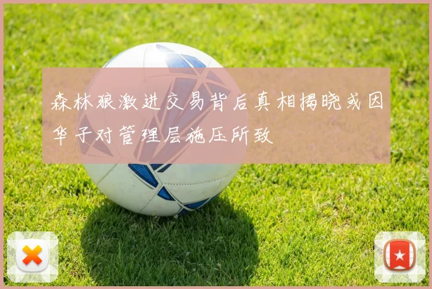 森林狼激进交易背后真相揭晓或因华子对管理层施压所致